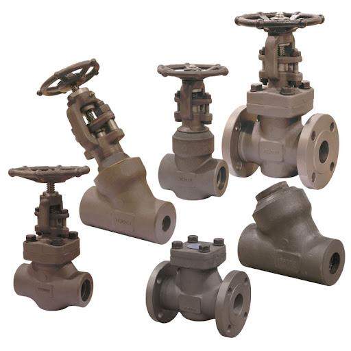 Forged Steel Valves